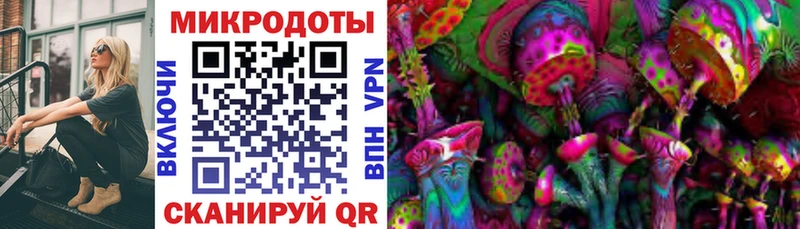 Галлюциногенные грибы Magic Shrooms  Сунжа 